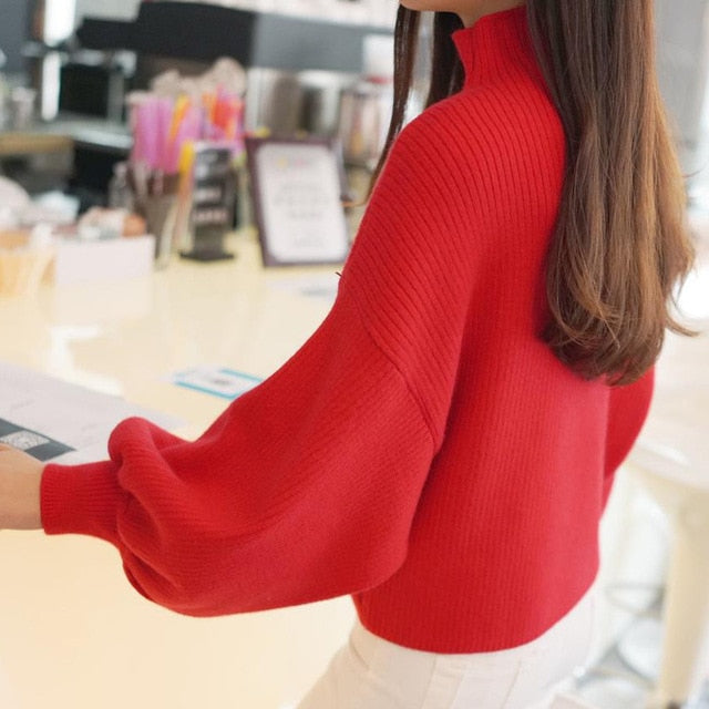 DRL 2019 New Winter Women Sweaters Fashion Turtleneck Batwing Sleeve Pullovers Loose Knitted Sweaters Female Jumper Tops 7color